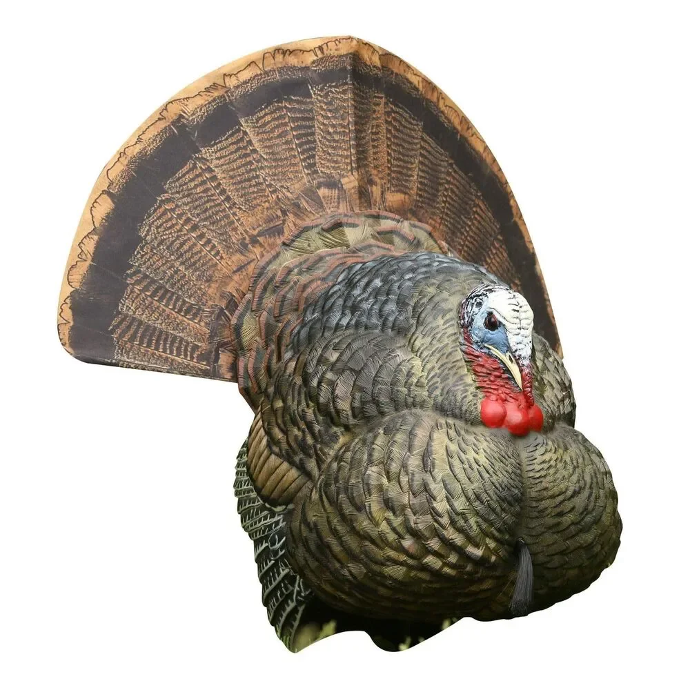 Avian-X LCD Strutter Turkey Decoy Full Strut Tom Gobbler Hunting Realistic Decoy